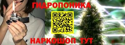 бошки Ставрополь