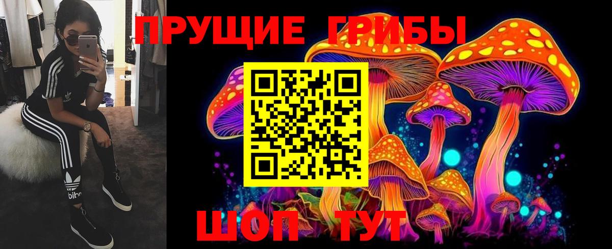 Галлюциногенные грибы Magic Shrooms  Вход с VPN  как найти наркотики  Галлюциногенные грибы GOLDEN TEACHER  Омск 